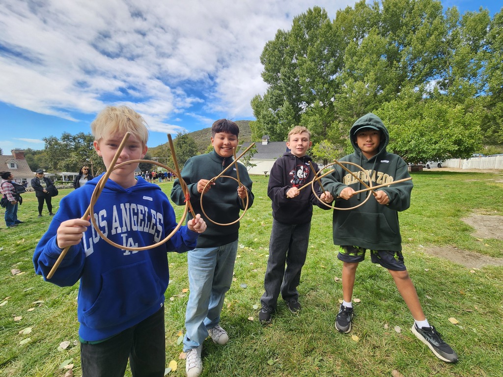 Hoop and Sticks game