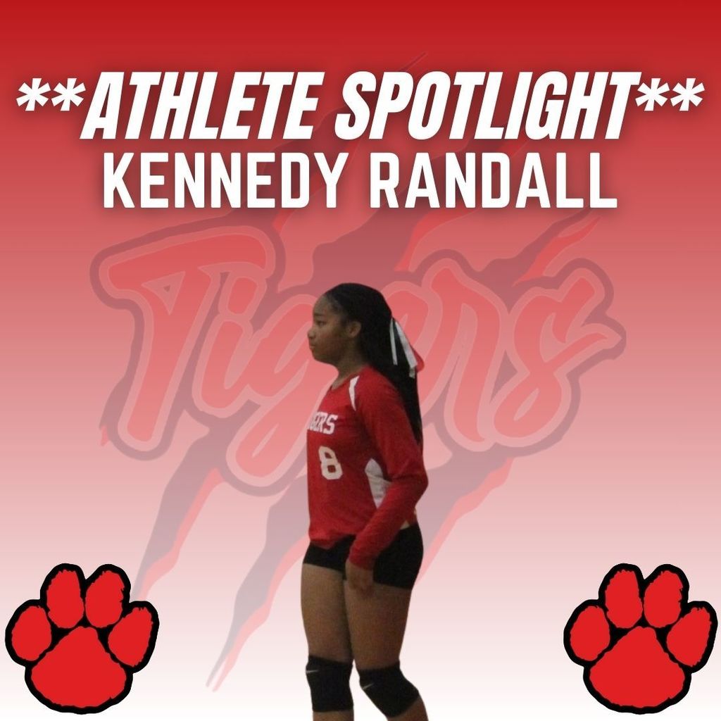 Volleyball (13)
