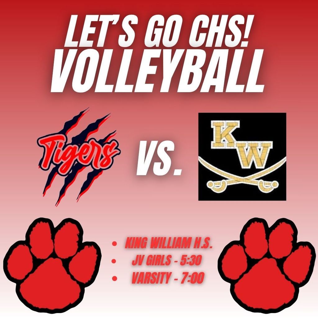 Volleyball (15)