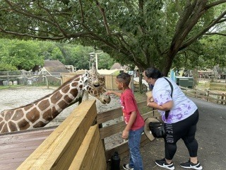 Zoo