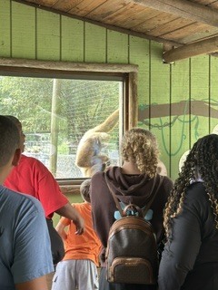 zoo