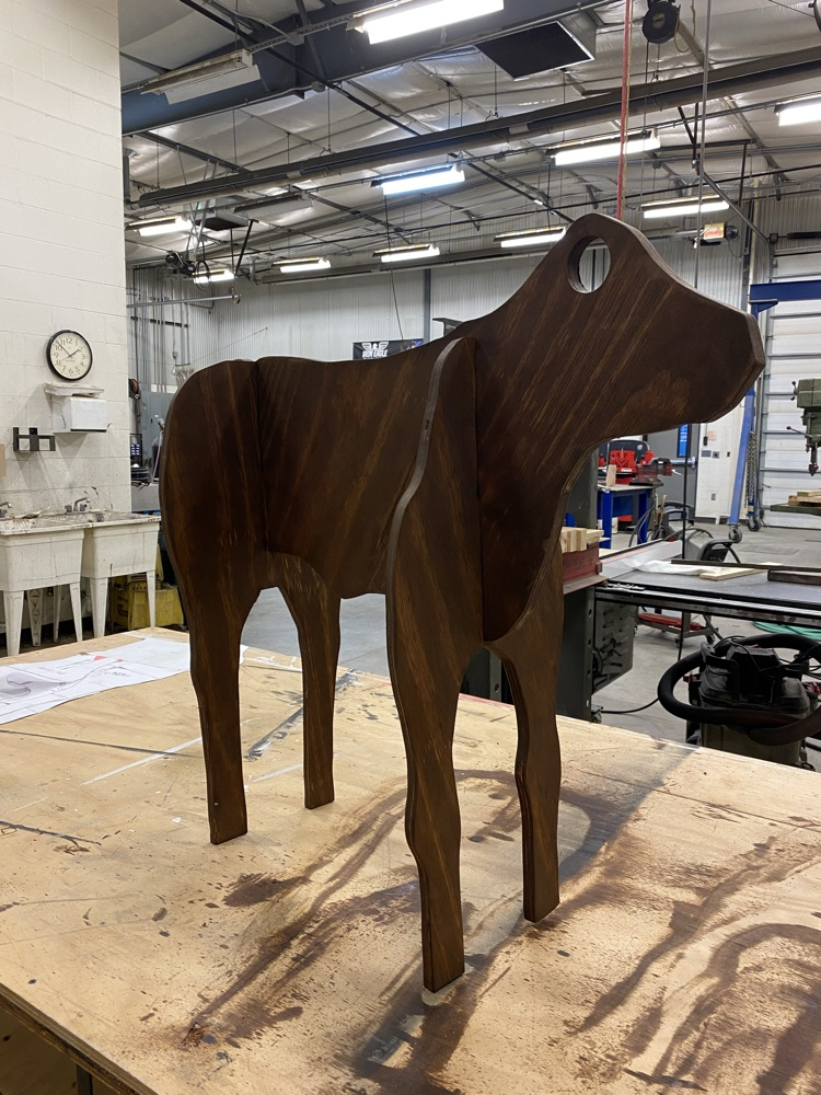 Ag Construction students built cow models to use for animal science labs.