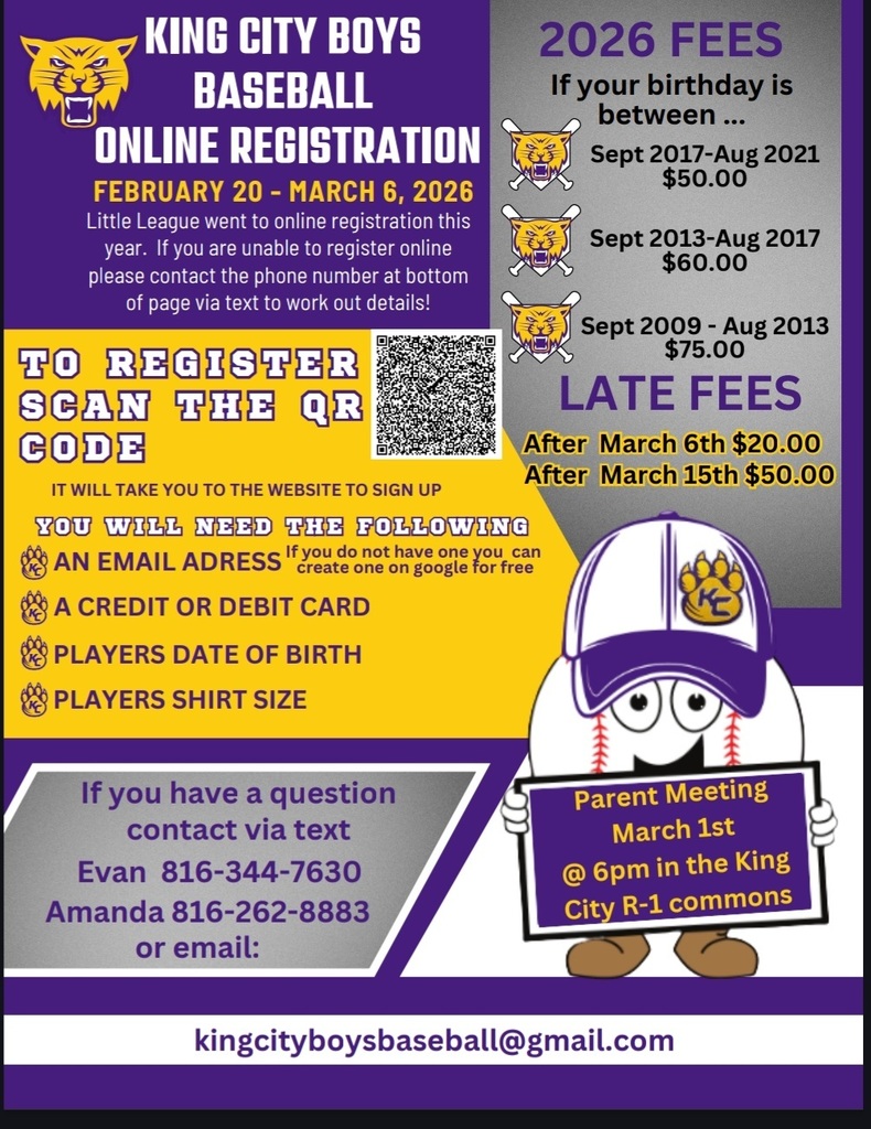 summer boys baseball flyer