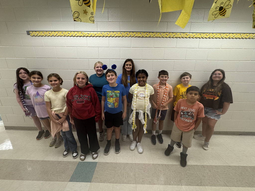 Students dressed up in their house colors