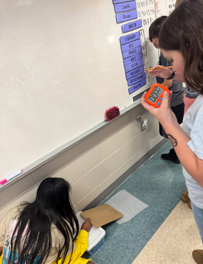 Students exploring science!