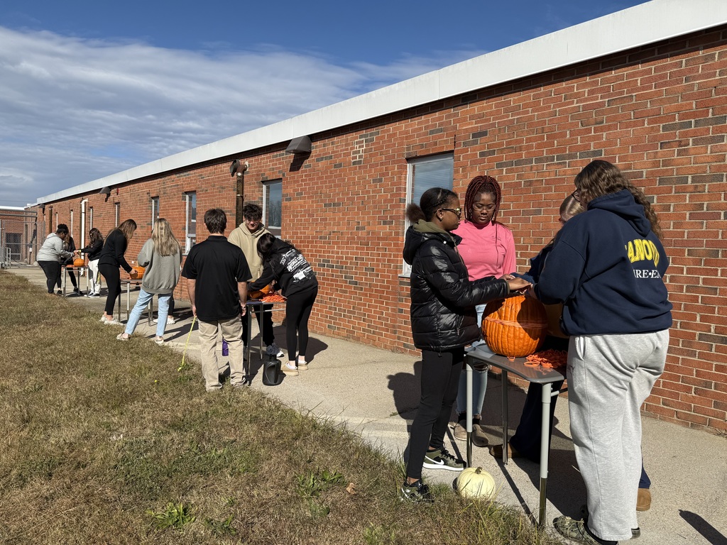 Groups working on pumpkin data
