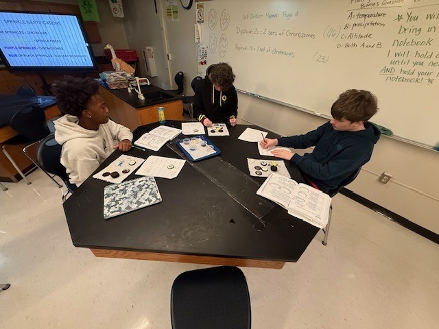 Students working on a mitosis oreo lab