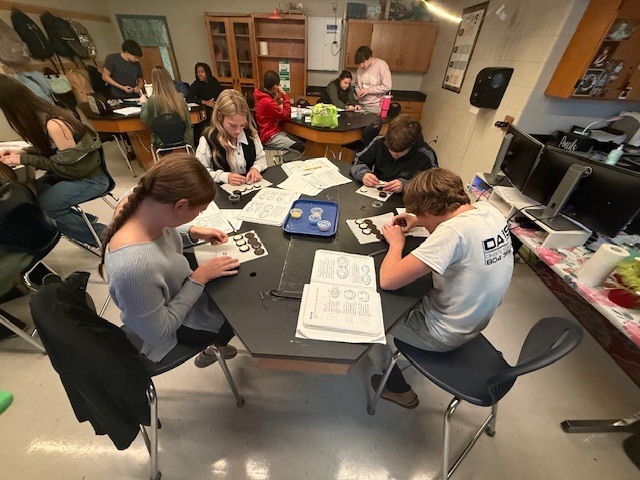 Students working on a mitosis oreo lab