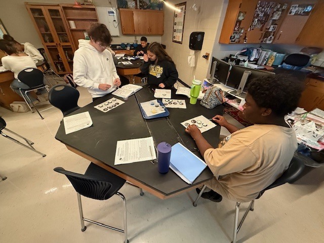 Students working on a mitosis oreo lab