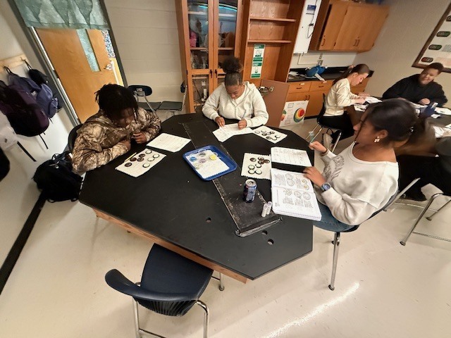 Students working on a mitosis oreo lab