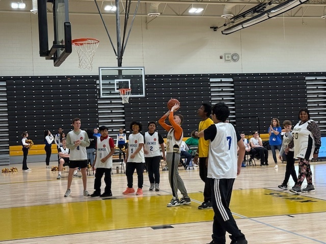 Viking and Cavalier Unified players