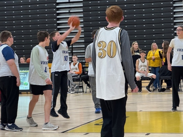 Viking and Cavalier Unified players