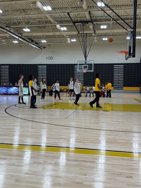 Viking and Cavalier Unified players