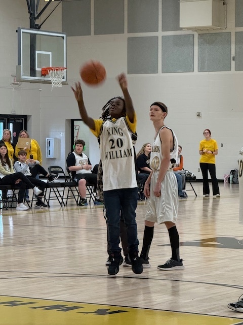 Viking and Cavalier Unified players