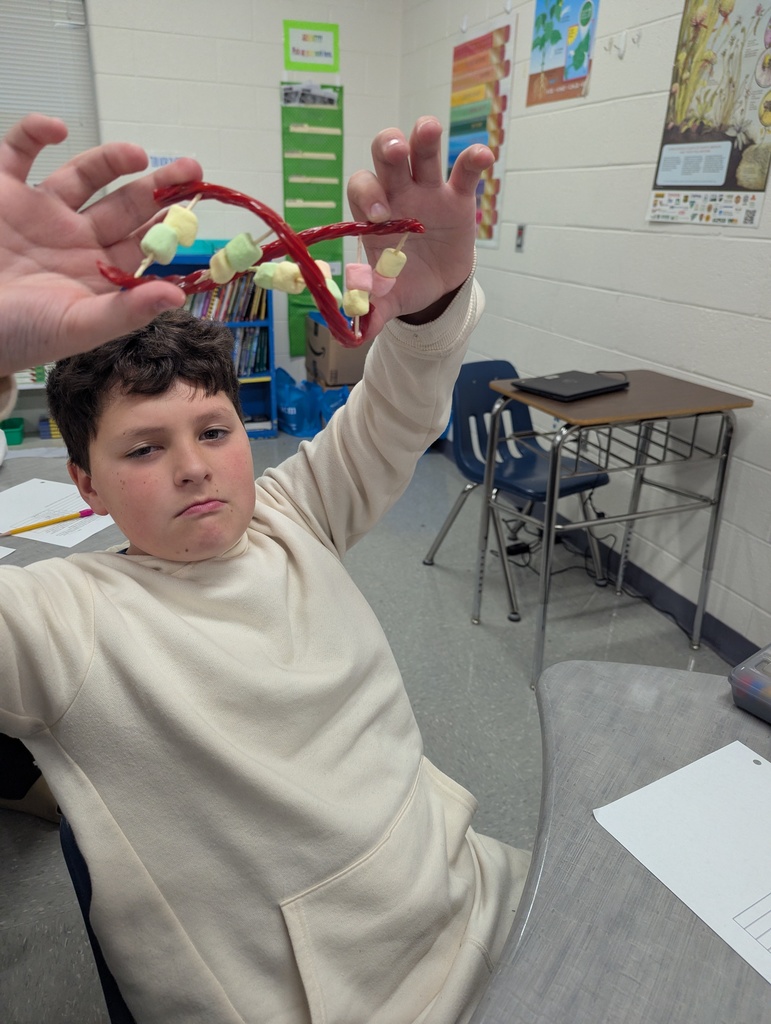 Grade 7 DNA Model