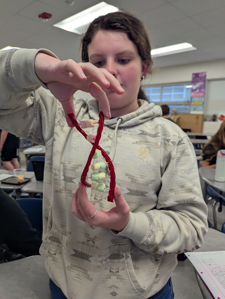 Grade 7 DNA Model