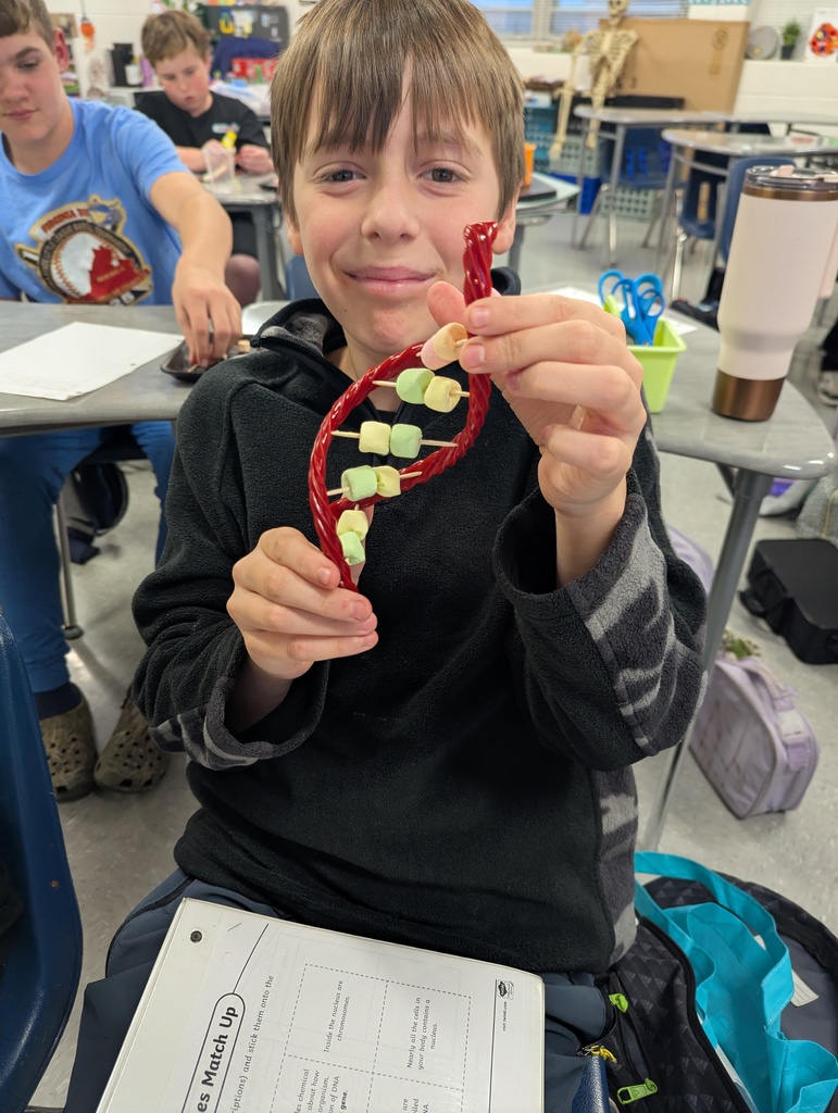 Grade 7 DNA Model