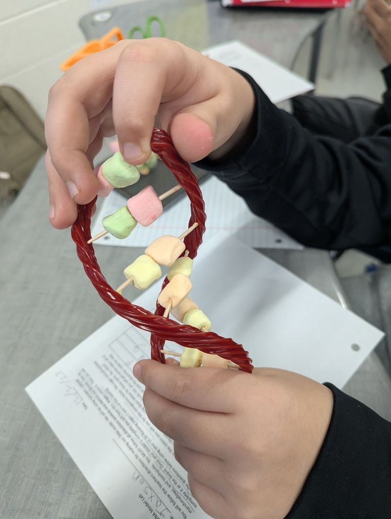 Grade 7 DNA Model