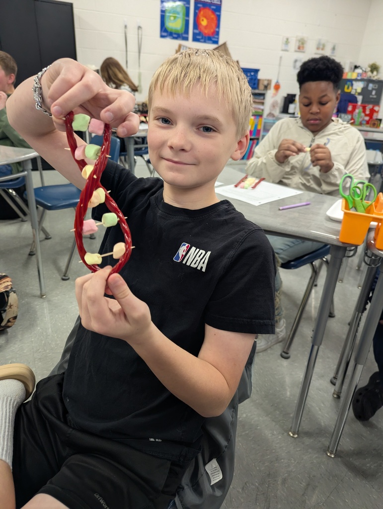 Grade 7 DNA Model