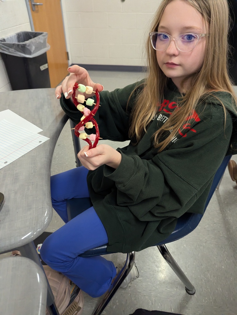 Grade 7 DNA Model