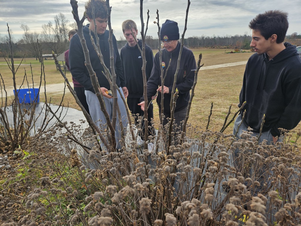 Students and a guide examine the branches of a shrub outdoors on the Upper Mattaponi Tribal Grounds during a winter plant identification lesson.