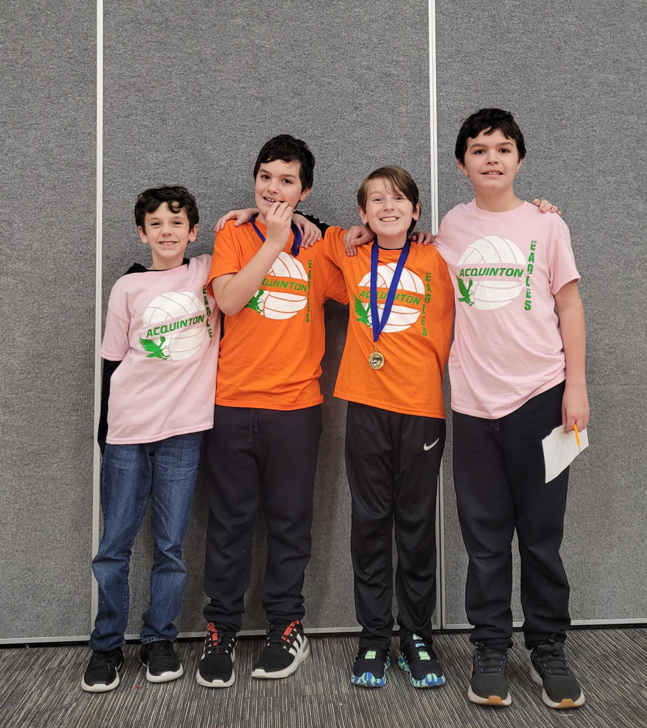 AES Volleyball Tournament