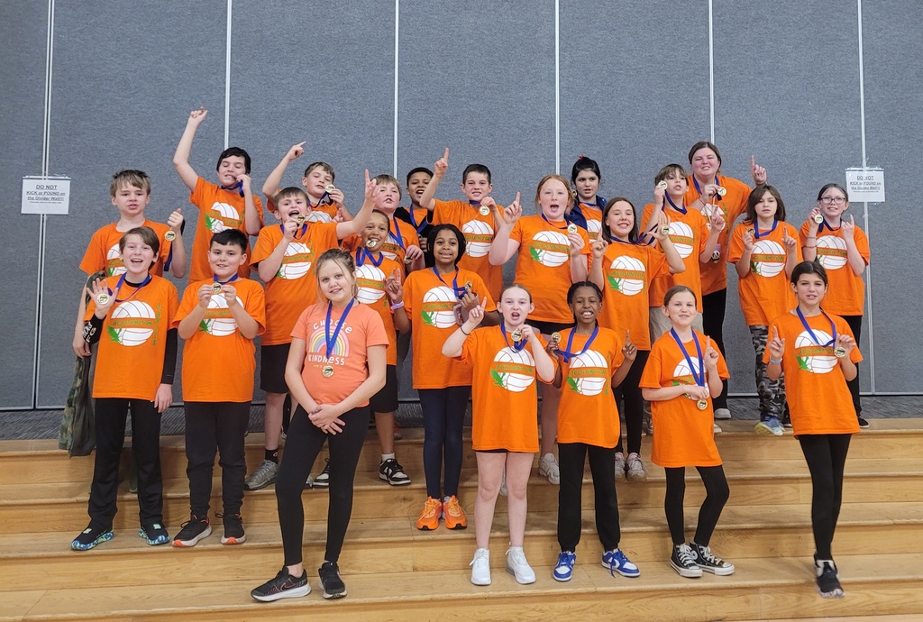 AES Volleyball Tournament