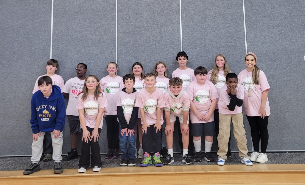 AES Volleyball Tournament