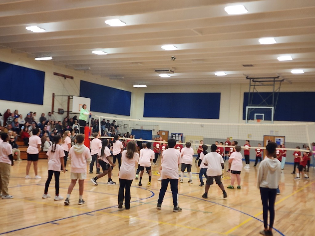 AES Volleyball Tournament