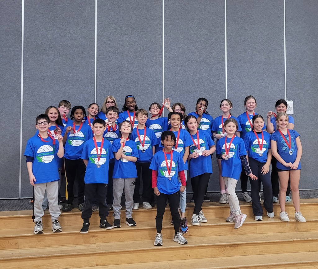 AES Volleyball Tournament