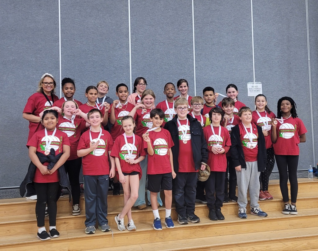 AES Volleyball Tournament