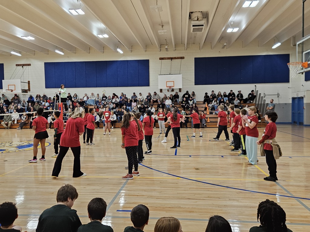 AES Volleyball Tournament