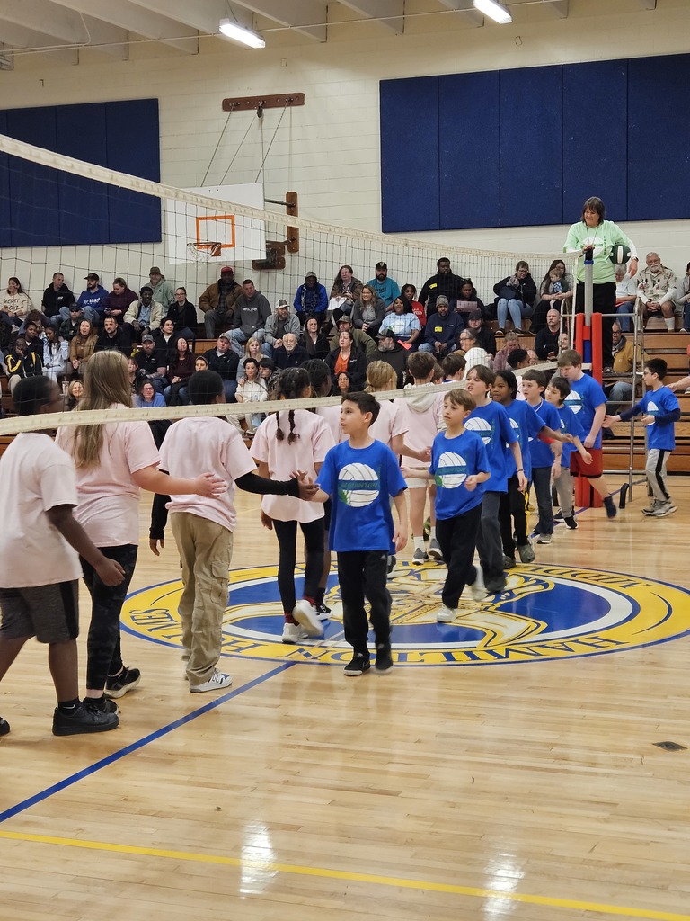 AES Volleyball Tournament