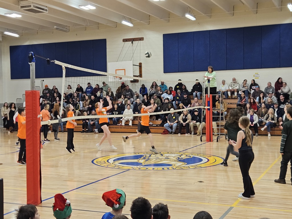 AES Volleyball Tournament