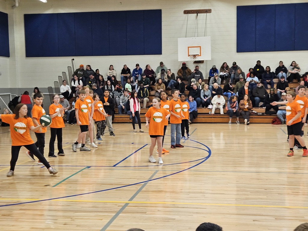 AES Volleyball Tournament