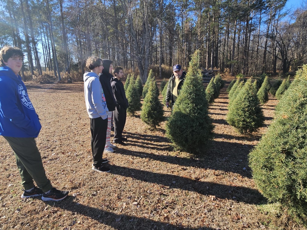 Students visiting the Christmas tree farm