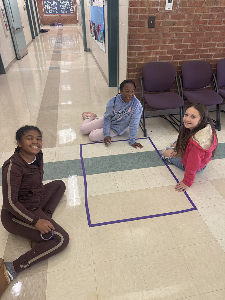 Mrs. Madison's class investigated area using tape & the floor tiles!