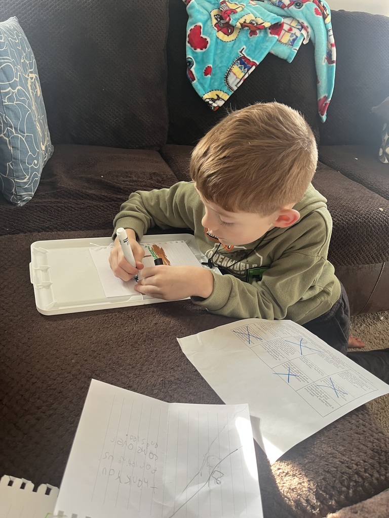 Student remote learning