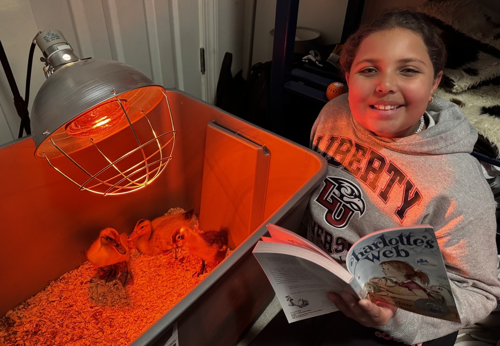 Students reading to their reading buddies.