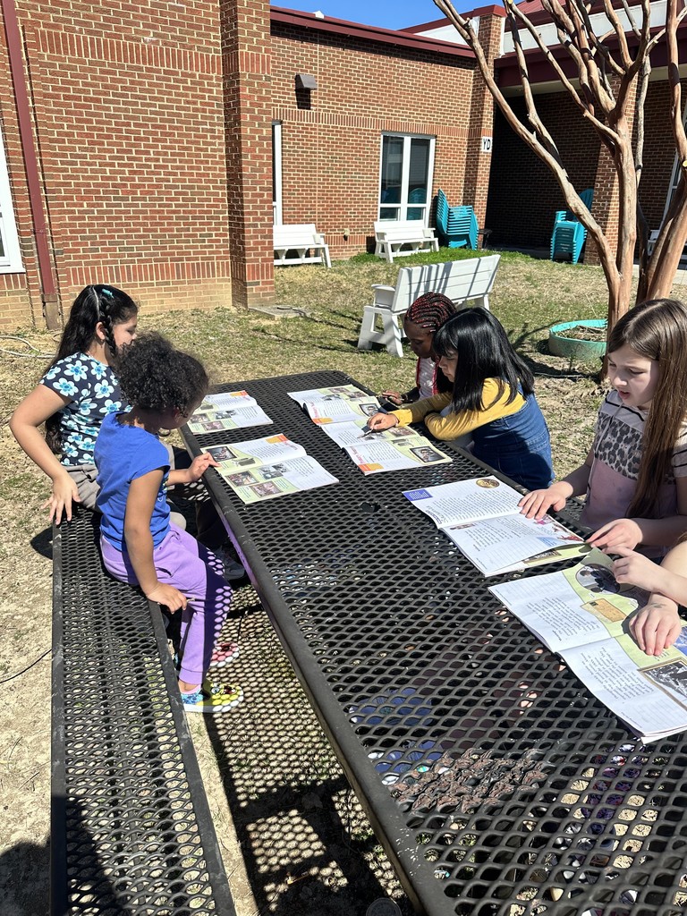 Students reading outside on a beautiful sunny day.