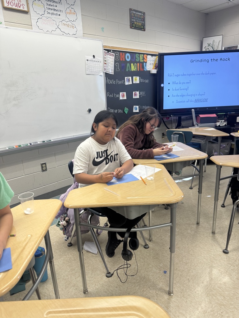 Students collaborating on a project