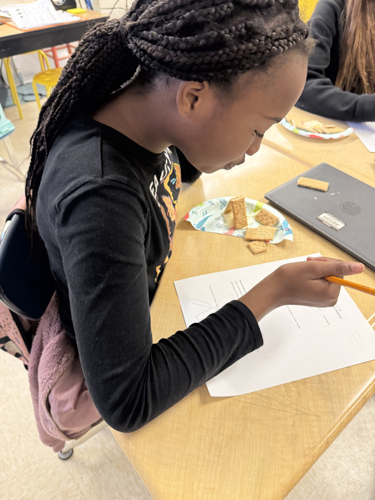 Mrs. Madison's class explored plate tectonics & plate boundaries with graham crackers & icing!