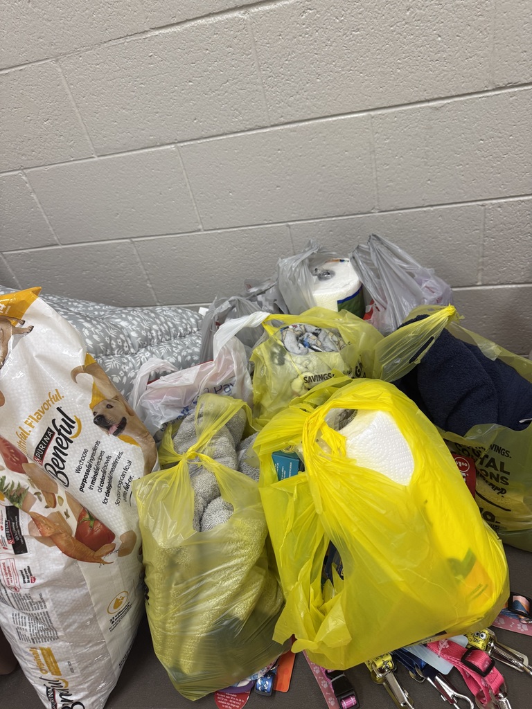 Pet food drive items