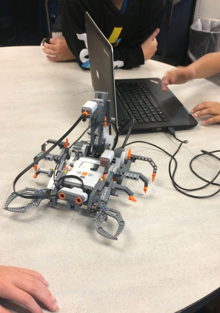 Mrs. Ambrose's Class