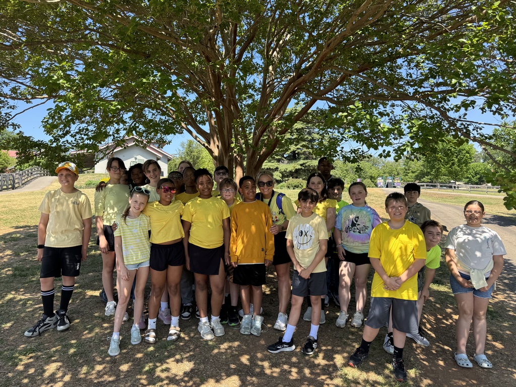 Students standing under a tree
