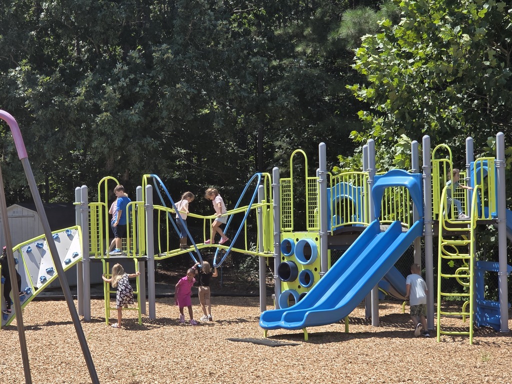 Students on the playground