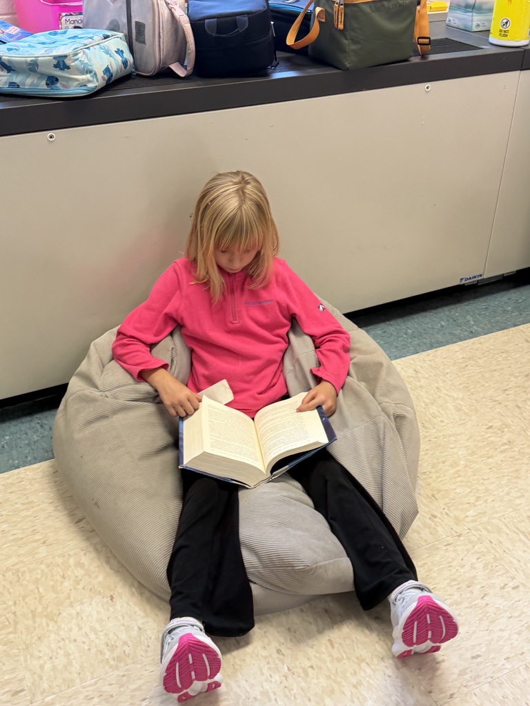 Students reading a book during independent reading time.