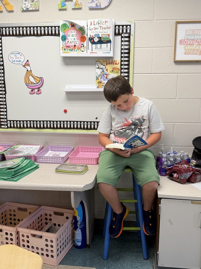 Students reading a book during independent reading time.