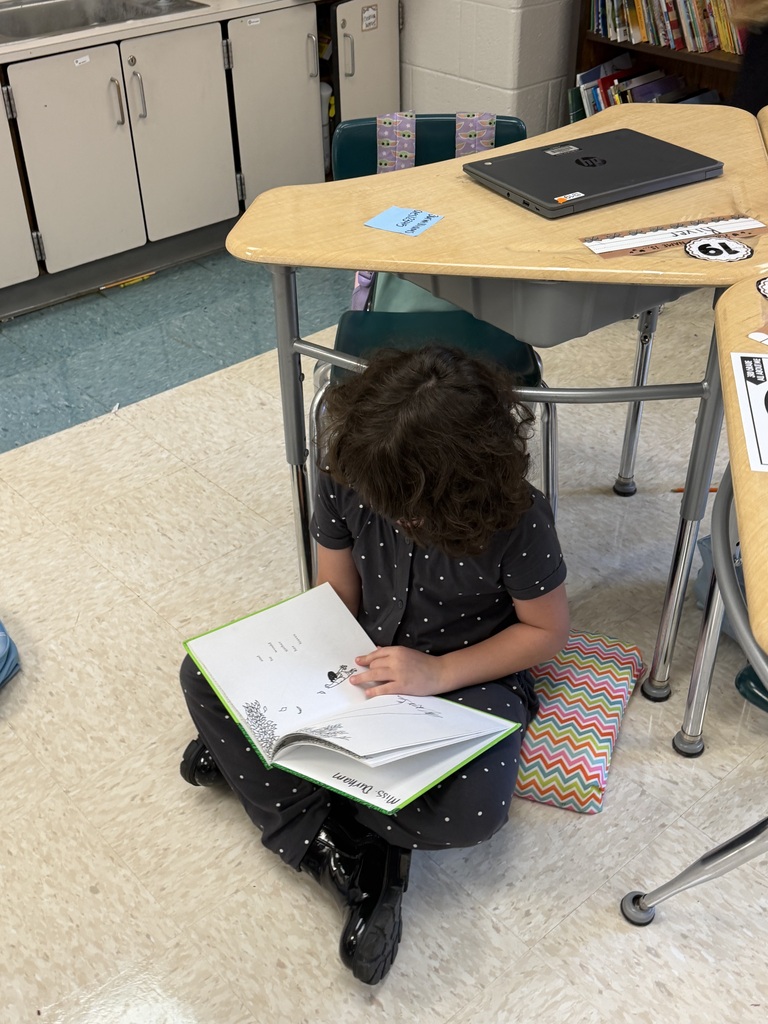 Students reading a book during independent reading time.