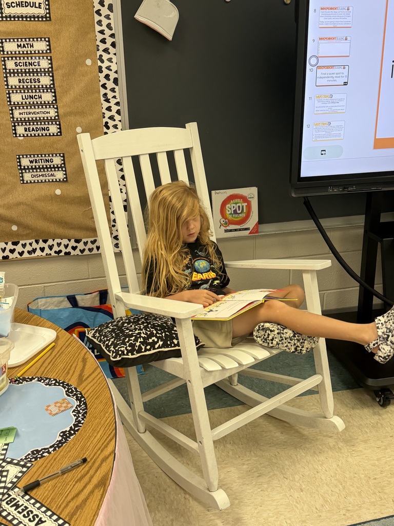 Students reading a book during independent reading time.